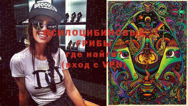 спайс Бородино